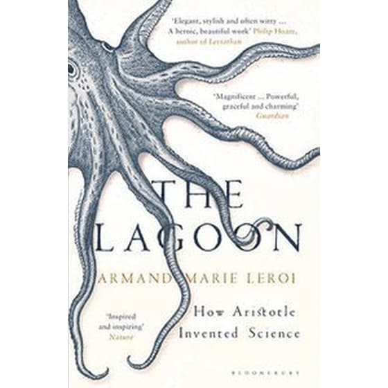The Lagoon image 0