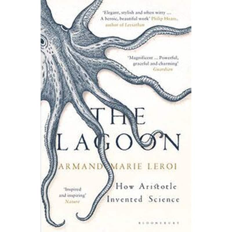 The Lagoon