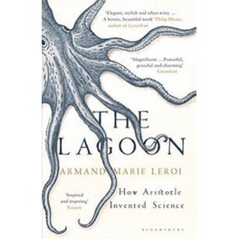 The Lagoon