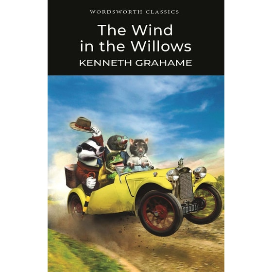 The Wind in the Willows image 0