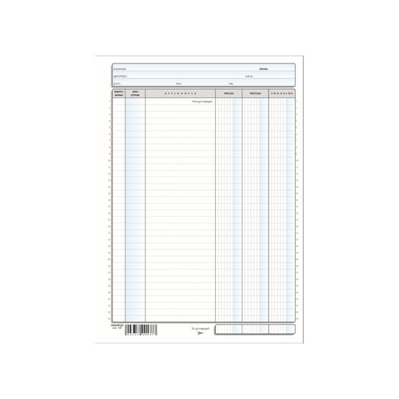 Καρτέλα Λογιστική με 3 Στήλες Όρθια Typotrust No.137 21x30cm image 0