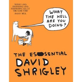What The Hell Are You Doing?: The Essential David Shrigley