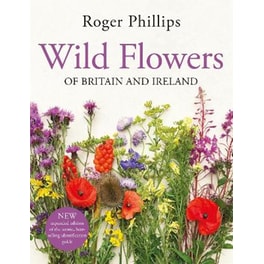 Wild Flowers