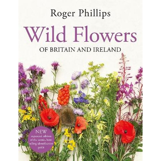 Wild Flowers image 0