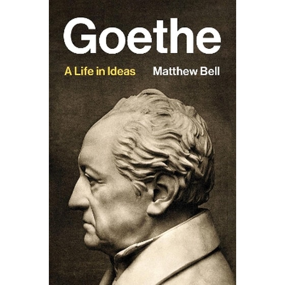 Goethe image 0