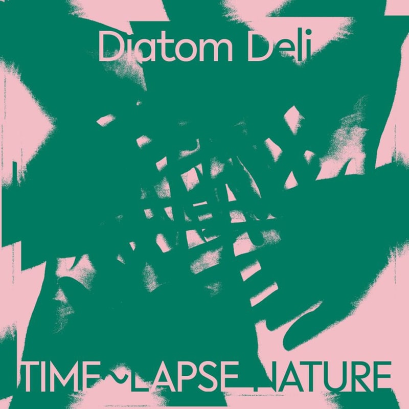 Time / Lapse Nature (LP)