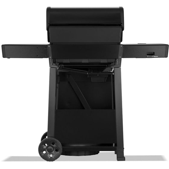 NAPOLEON FP365DSIBPK 15 kW Μαύρο Ψησταριά Υγεραρίου image 2