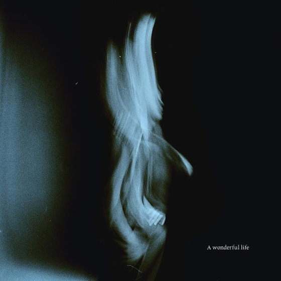 A Wonderful Life (CD) image 0