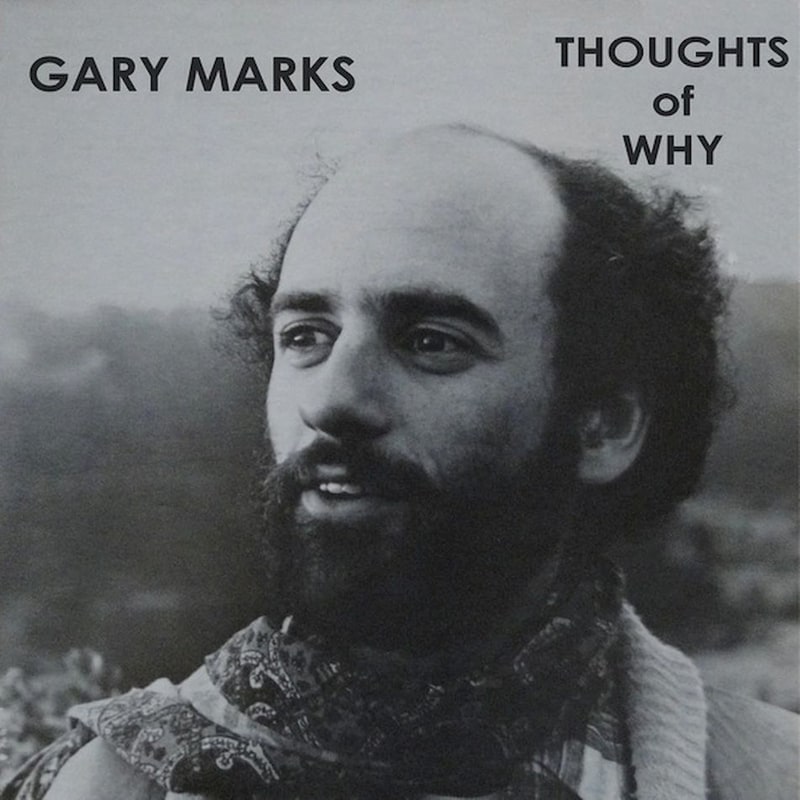 Thoughts Of Why (LP)