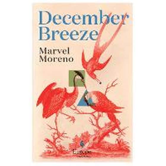 December Breeze image 0