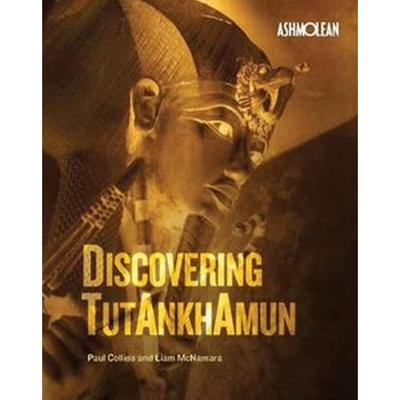 Discovering Tutankhamun image 0