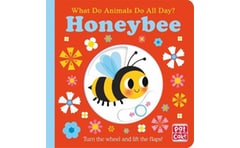 WHAT DO ANIMALS DO ALL DAYx: HONEYBEE: L
