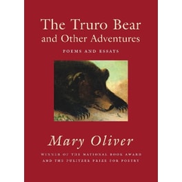 The Truro Bear and Other Adventures