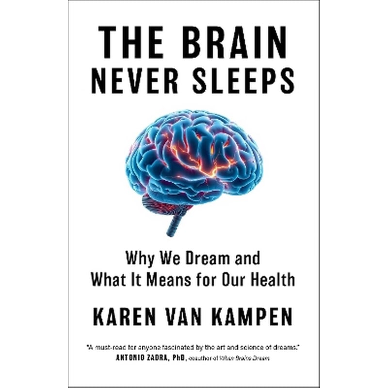 The Brain Never Sleeps