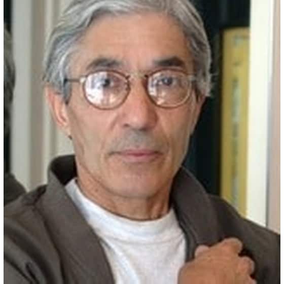 Ο Γερμανός μουτζαχεντίν ή Το ημερολόγιο των αδελφών Σίλλερ image 1