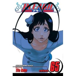 Bleach, Vol. 65