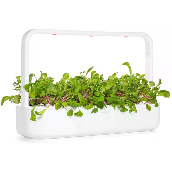 Κάψουλες Click and Grow 3 Τμχ - Ραπανάκι image 5