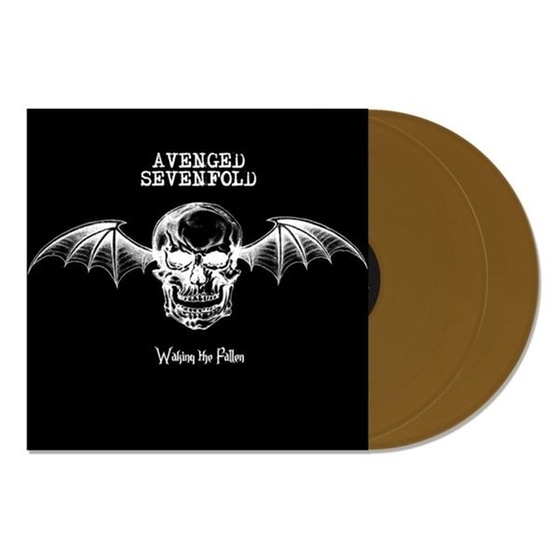 Waking The Fallen (Gold 2LP) image 1
