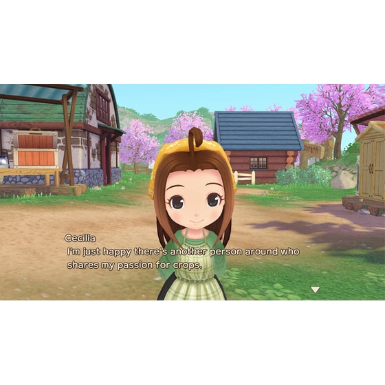 Story of Seasons: A Wonderful Life Limited Edition - Nintendo Switch image 6