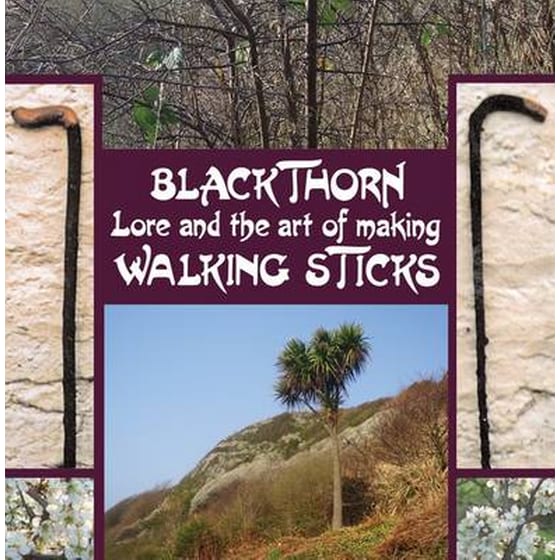 Blackthorn Lore and the Art of Making Walking Sticks image 0