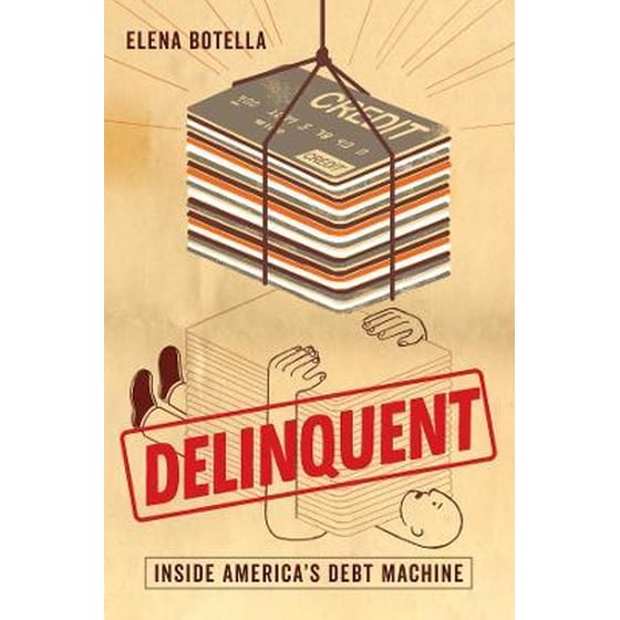 Delinquent : Inside America's Debt Machine image 0