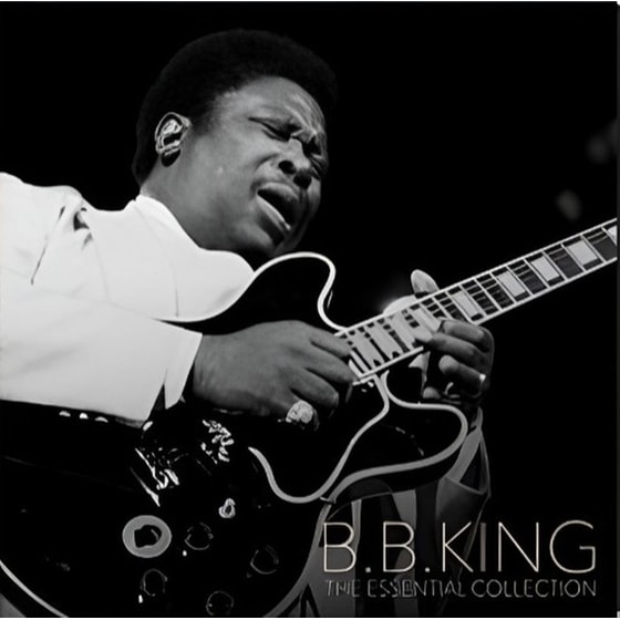 B.B. King - The Essential Collection (LP) image 0