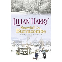 Snowfall in Burracombe