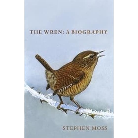 The Wren image 0