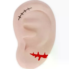 Γόμα Legami Αρωματική Ear We Go Again