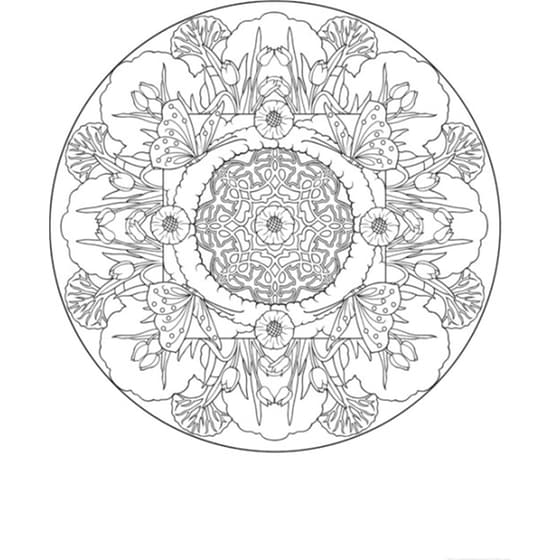 Nature Mandalas image 2