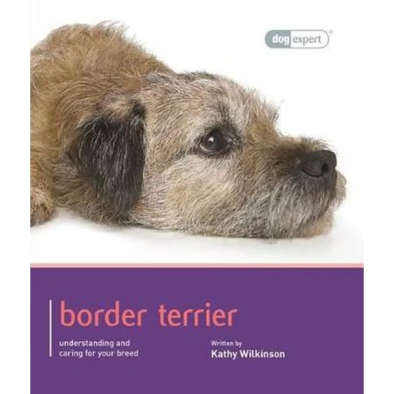 Border Terrier - Dog Expert image 0