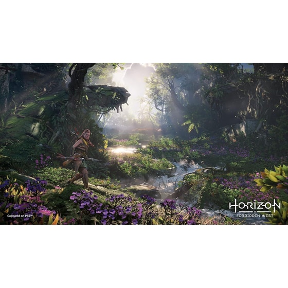 Horizon Forbidden West - PS5 image 5