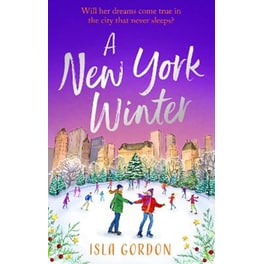A New York Winter