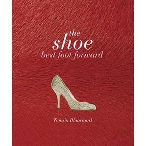 The Shoe image 0