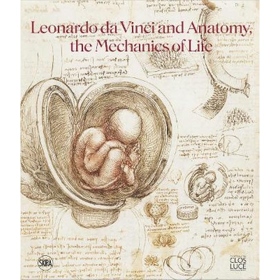 Leonardo da Vinci and Anatomy image 0