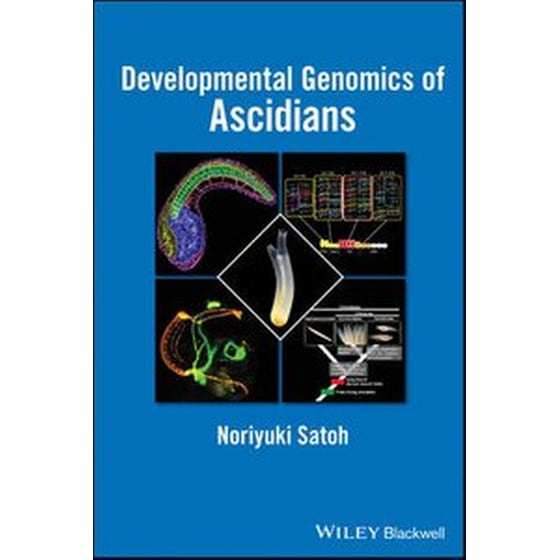Developmental Genomics of Ascidians image 0