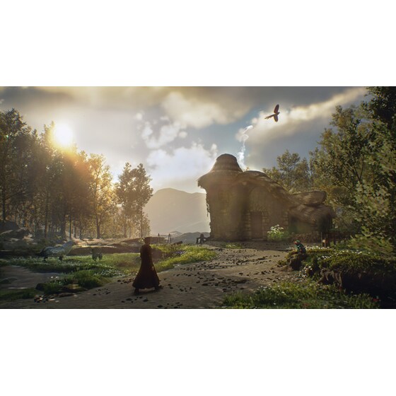 Hogwarts Legacy Deluxe Edition - PS4 image 8