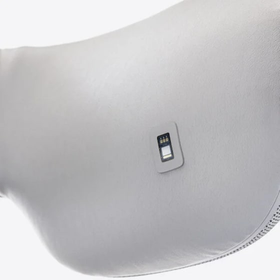 Συσκευή Μασάζ Για Πρόσωπο THERABODY SMARTGOGGLES TM03350-01 Γκρι image 1