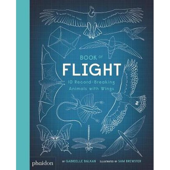 Book of Flight image 0