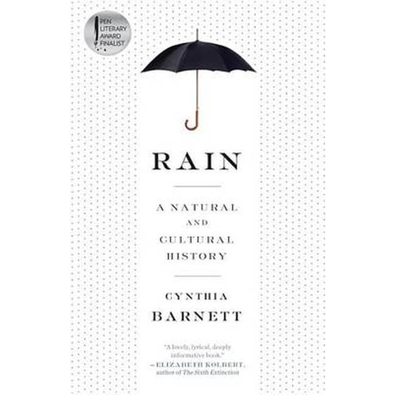 Rain image 0
