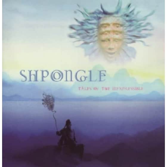 Tales Of The Inexpressible (2 LP) image 0