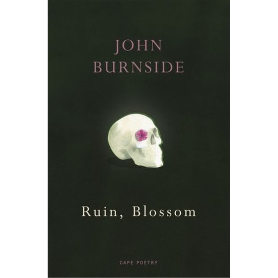 Ruin, Blossom image 0