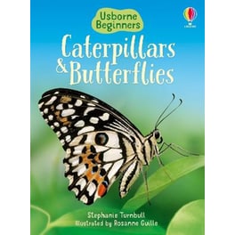 Caterpillars and Butterflies