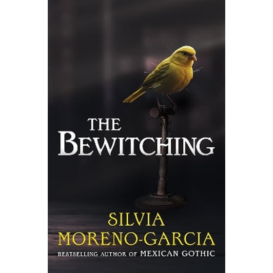 The Bewitching image 0