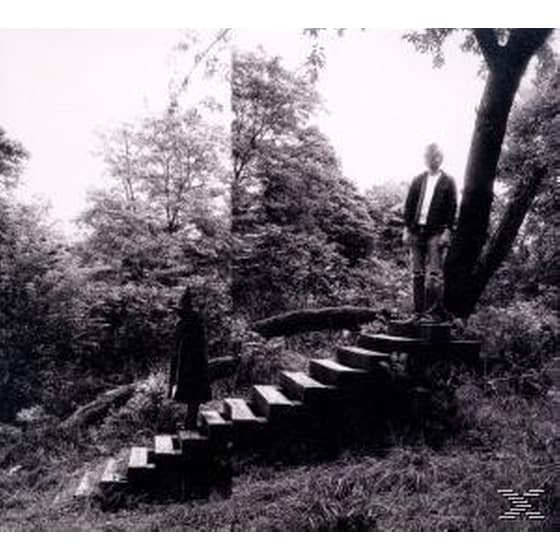 Timber Timbre image 0