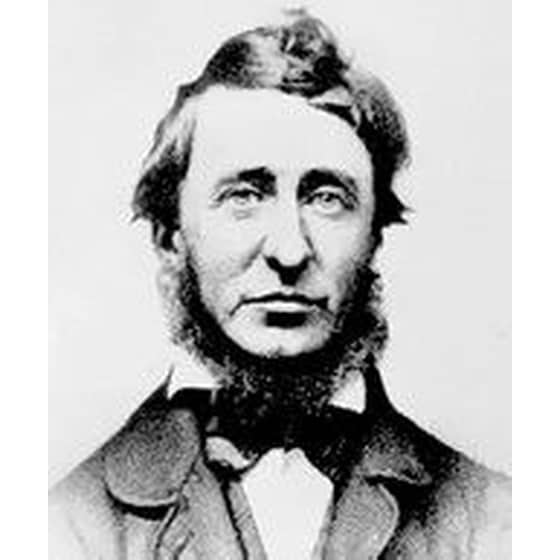 Πολιτική ανυπακοή. Ζωή χωρίς αρχές. Περπατώντας. image 1