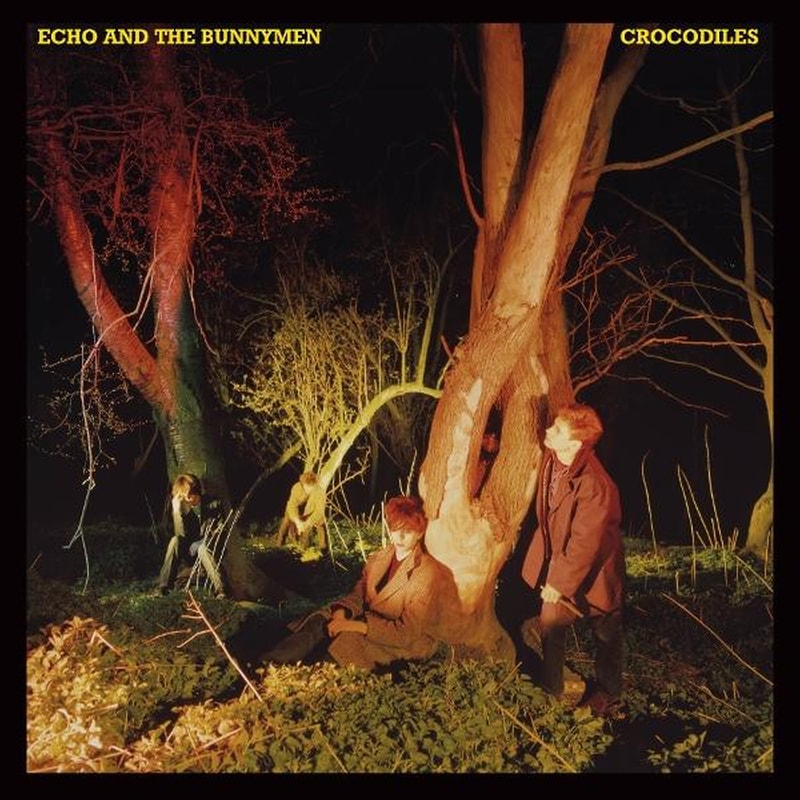 Crocodiles (CD)
