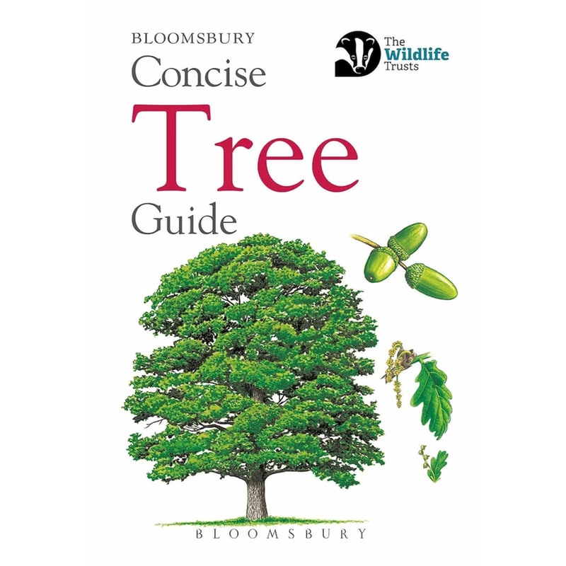 Concise Tree Guide