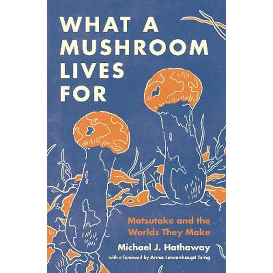 What a Mushroom Lives For image 0