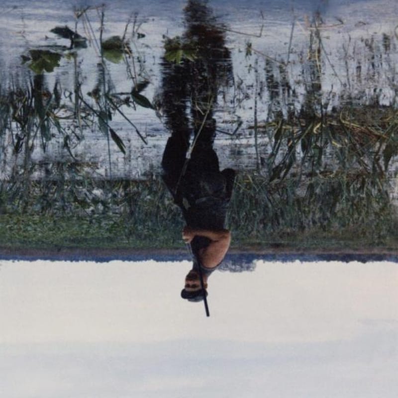Animal Drowning